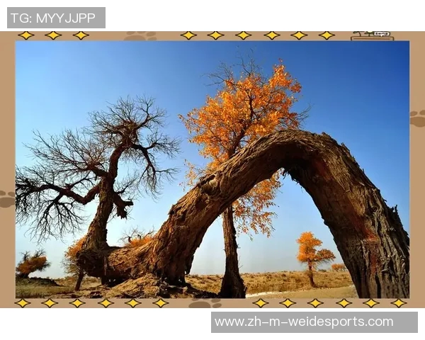 内蒙古与新疆的文化交融与发展探讨两地特色与未来机遇